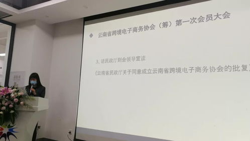 五洲跨境參加云南省跨境電子商務協會第一次會員大會，共謀電子商務技術開發新篇章